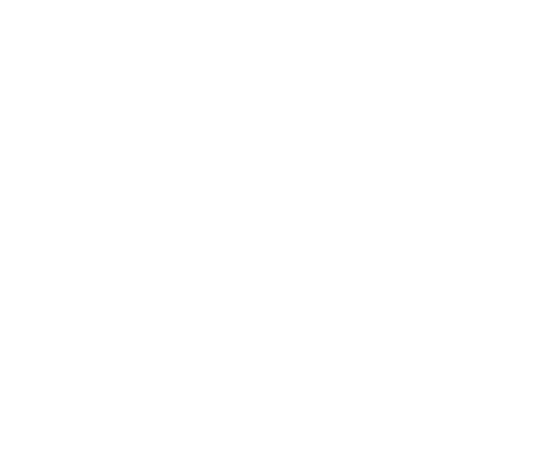 SALMO SOLUTIONS